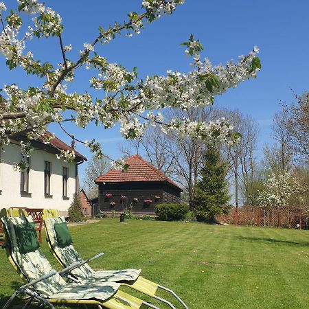 Folwark Goscino-Dwor Bed & Breakfast Bagian luar foto