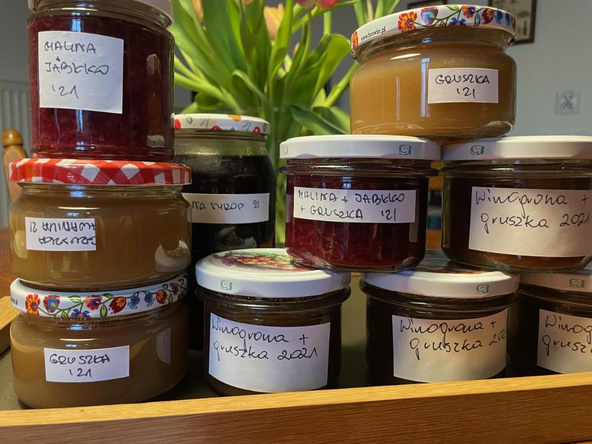 Folwark Goscino-Dwor Bed & Breakfast Bagian luar foto